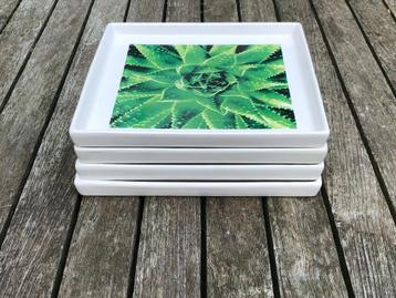 4 decoratieve borden met plantafbeelding beschikbaar voor biedingen