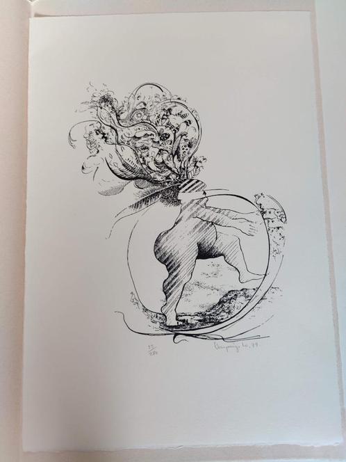 Ets Willy VANPARIJS, Antiek en Kunst, Kunst | Etsen en Gravures, Ophalen of Verzenden