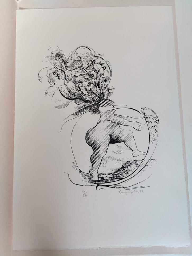 Ets Willy VANPARIJS, Antiek en Kunst, Kunst | Etsen en Gravures, Ophalen of Verzenden