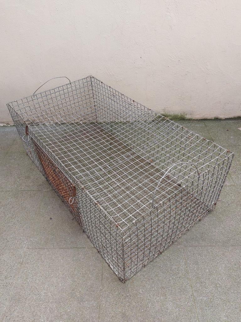 Cage pour lapins 🐰 où pour les poules  🐔, Animaux & Accessoires, Cage