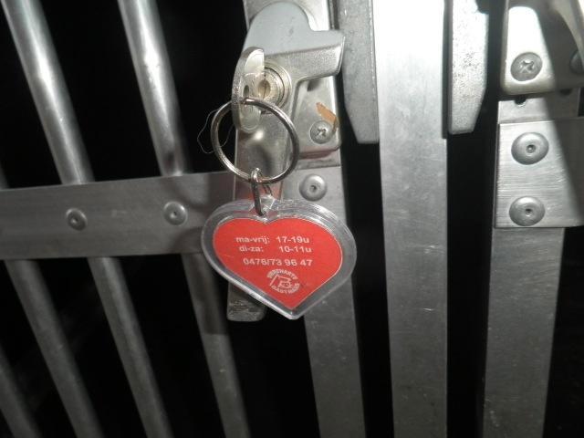 Hondenkooi Auto voor 2Honden  Alles goed lezen Aub, Dieren en Toebehoren, Hondenhokken, Zo goed als nieuw, Hondenhok, Minder dan 65 cm