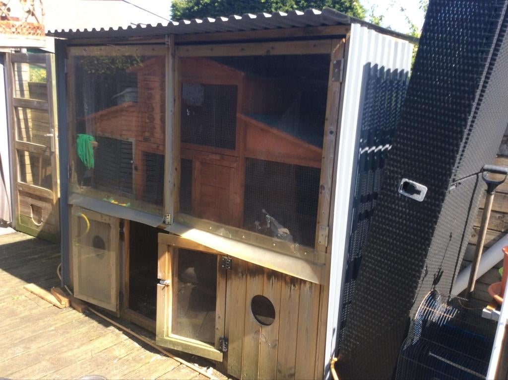 Buitenhok voor konijn, cavia of fret, Ophalen, 90 cm of meer, Konijn, Hok