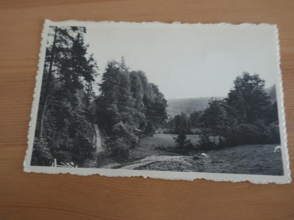 liernu houby, Envoi, Non affranchie, Luxembourg