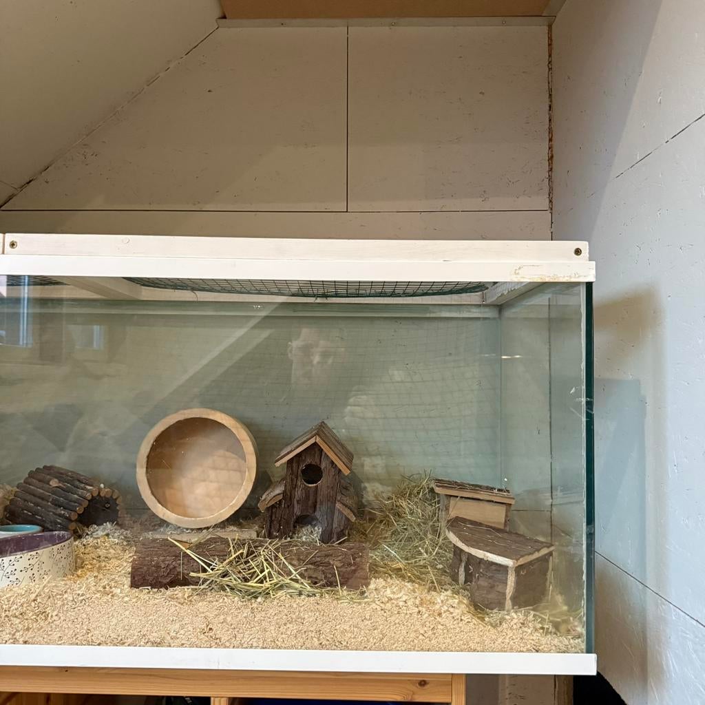 Aquarium 118cm lang 50cm breed 50cm diep, Dieren en Toebehoren, Knaagdieren en Konijnen | Hokken en Kooien, Gebruikt, Hamster