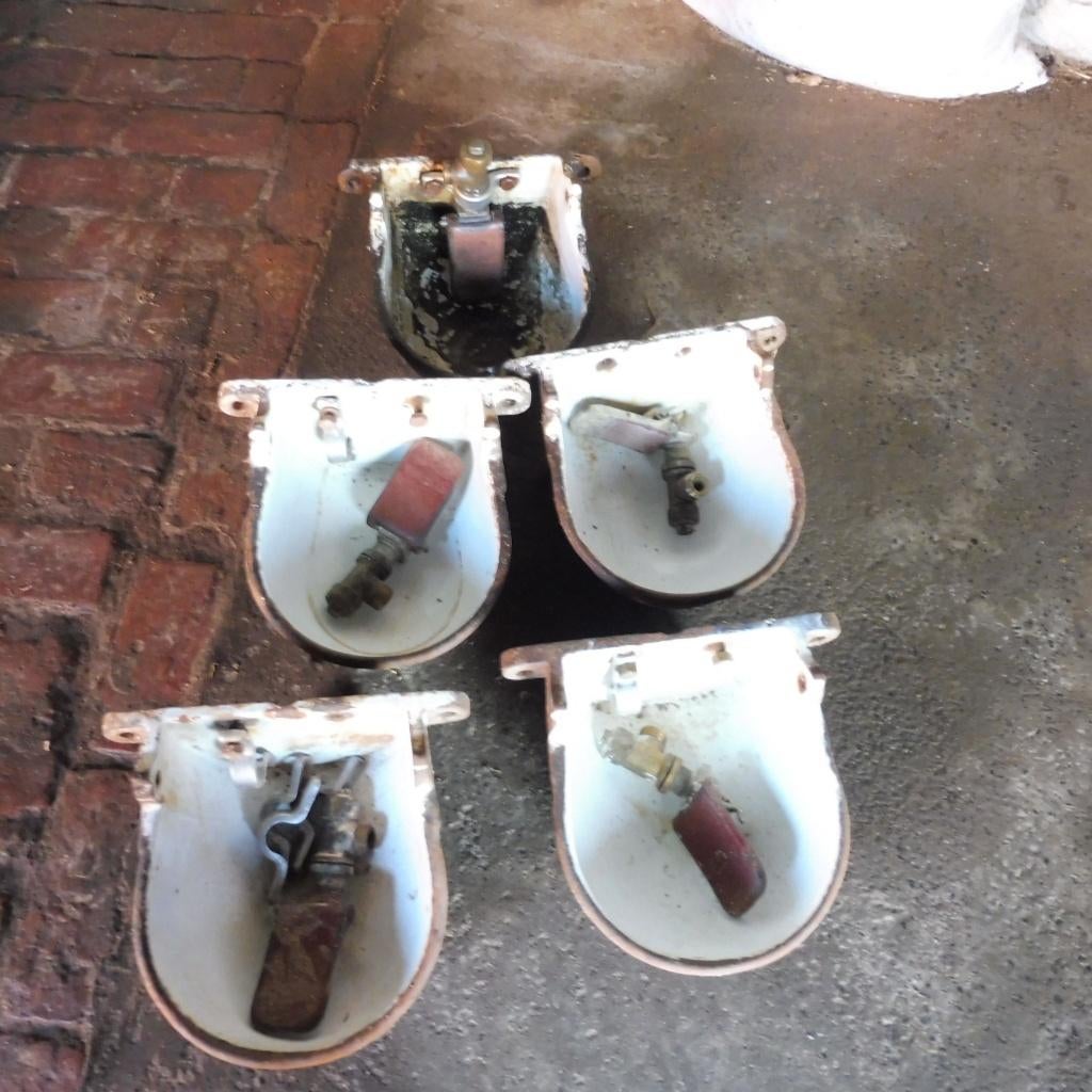 sueva drinkbakken voor runderen