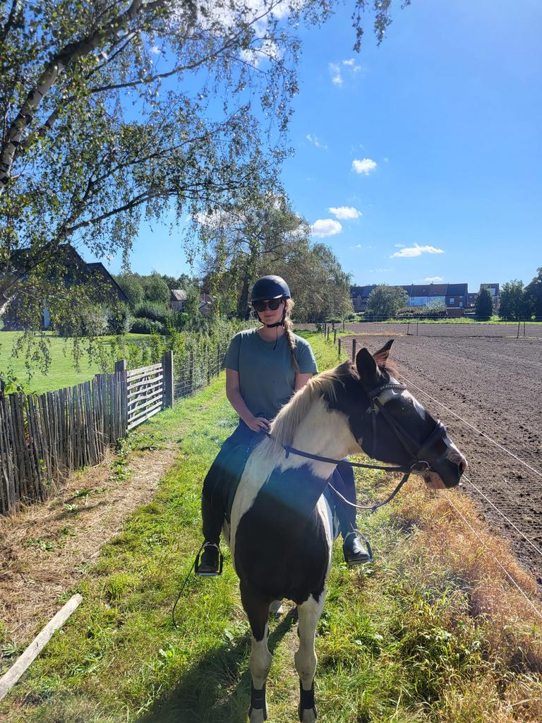 Doorrijden van uw paard? Of hulp nodig bij het rijden?, Dieren en Toebehoren, Pony's