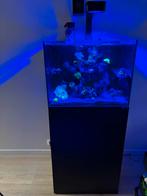 Waterbox aquarium compleet, Dieren en Toebehoren, Ophalen, Zo goed als nieuw