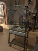 Papegaai kooi, Animaux & Accessoires, Enlèvement, Utilisé, Autres matériaux, Autres types