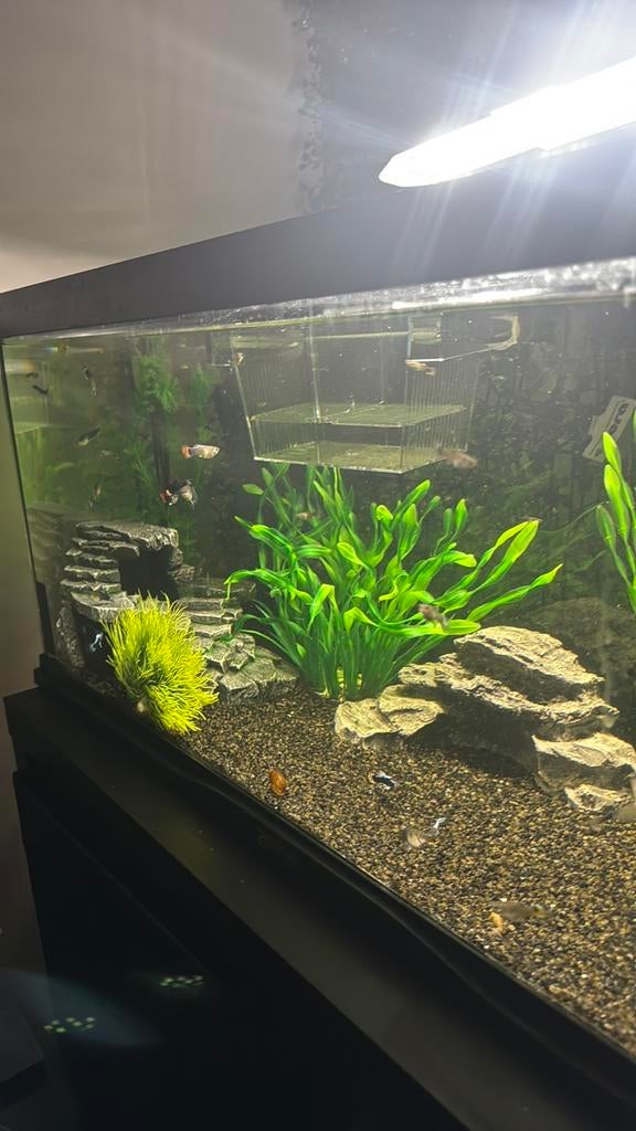 78-30-30 aquarium, Ophalen, Zo goed als nieuw