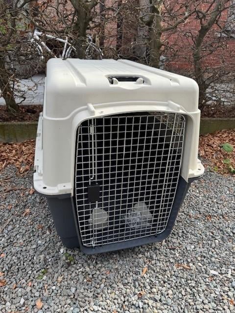 Cage pour chien - Cage agrée IATA extra large, Animaux & Accessoires, Enlèvement, Neuf