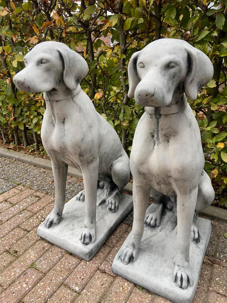 Engelse Jachthond , Pointer , Weimaraner., Jardin & Terrasse, Statues de jardin, Enlèvement