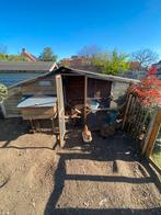 Kippenhok / ren, Dieren en Toebehoren, Pluimvee