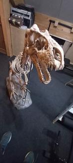 Construisez votre T-Rex : Maquette & fascicules, Enlèvement ou Envoi, Utilisé