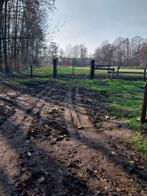 Weide, Dieren en Toebehoren