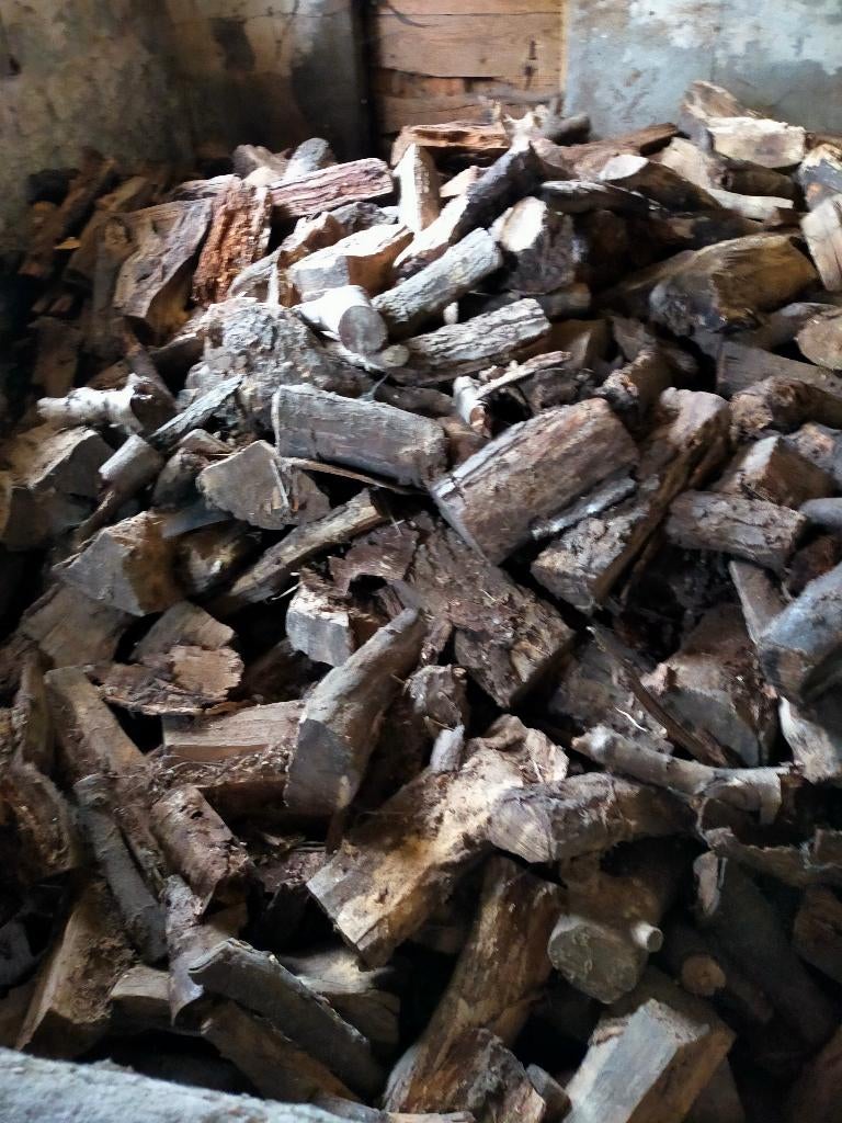 brandhout, 3 à 6 m³, Enlèvement, Chêne, Bûches