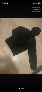 Zwarte dickies puffer jas M, Ophalen of Verzenden, Zo goed als nieuw