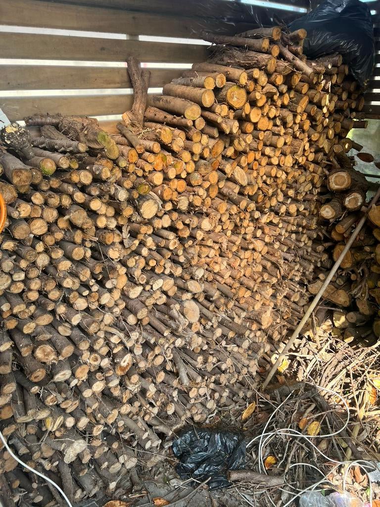 Brandhout, Enlèvement