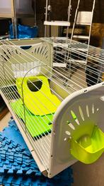 Hok voor cavia, Dieren en Toebehoren, Ophalen, Zo goed als nieuw, Hok, Cavia