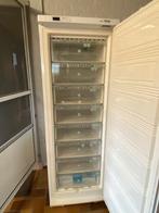 Diepvries Miele groot 185cm met 8 laden, Ophalen, Diepvries