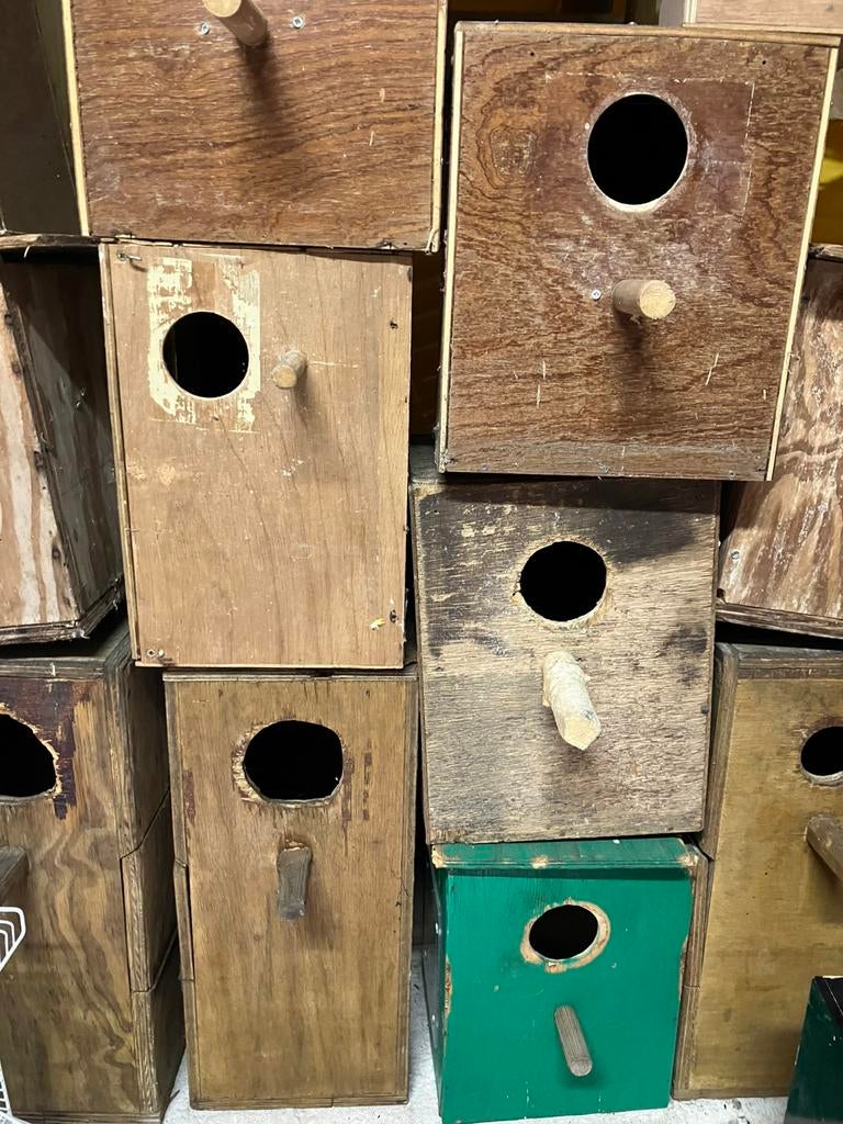 BROEDKASTEN VOOR GRASPARKIETEN VANAF 2,50 EURO, Tuin en Terras, Vogelhuisjes en Vogelbaden, Zo goed als nieuw, Ophalen