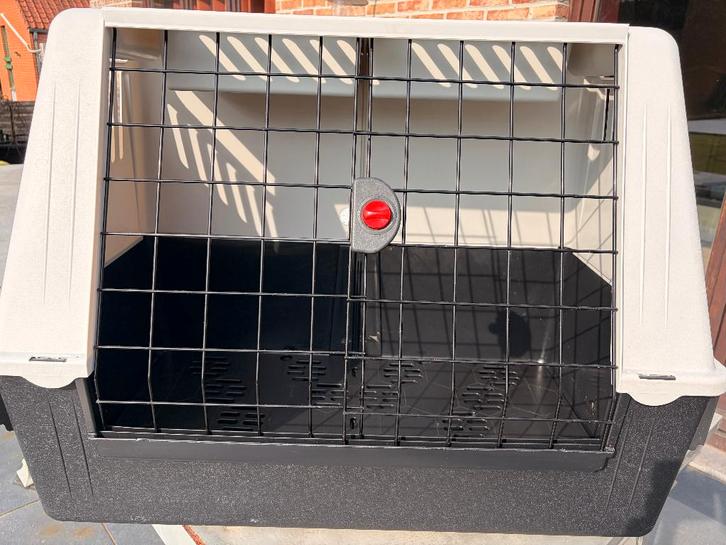 Cage de transport chien Ferplast, Animaux & Accessoires, Boîtes de transport, Utilisé, Enlèvement
