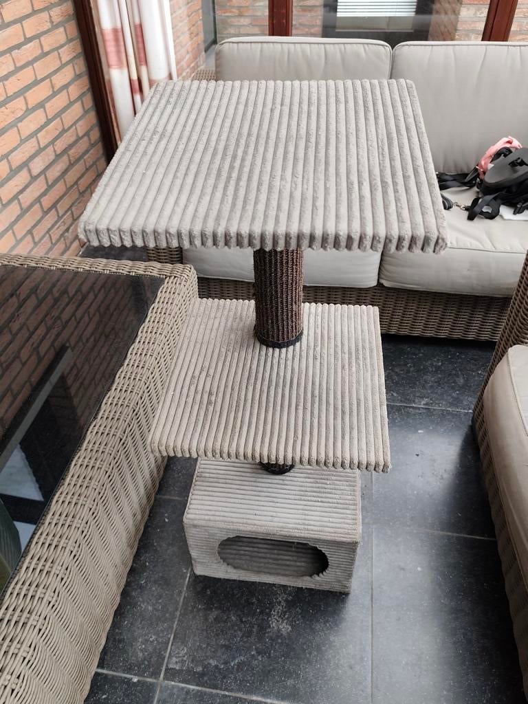 Krabpaal kat, Enlèvement, Griffoir