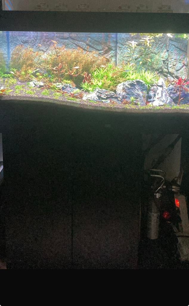 Juwel Rio 180, Dieren en Toebehoren, Ophalen, Zo goed als nieuw, Filter, Juwel