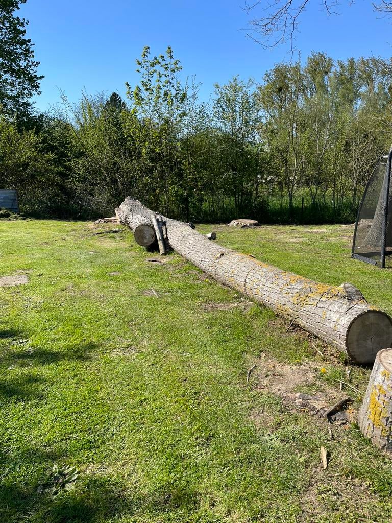 Brandhout + -8-10 sterren, Ophalen