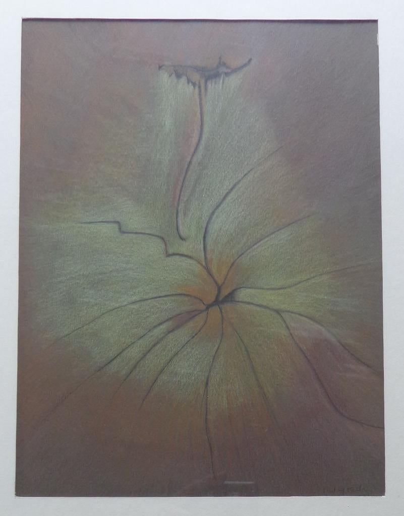 ROBERT WUYTACK / NATUUR / ORIGINEEL WERK / 51x41cm / KADER, Enlèvement ou Envoi