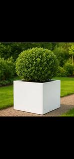 Moderne geïsoleerde polyester plantenbak 80x80x60, Ophalen, Kunststof, Vierkant, 60 tot 100 cm