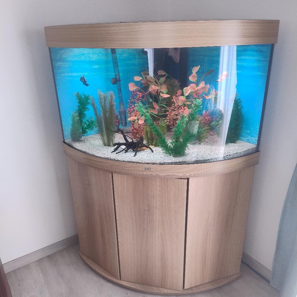 Hoekaquarium, Dieren en Toebehoren, Vissen | Aquaria en Toebehoren, Ophalen, Inclusief vissen, Decoratie, Juwel