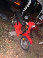 Honda scoopy sh50, 0 vitesses, Enlèvement, Utilisé, 50 cm³