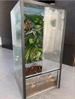 Terrarium te koop gekko, Dieren en Toebehoren, Ophalen, Gebruikt