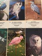 De Beukelaer chromo’s bedreigde dieren, Verzamelen, Ophalen of Verzenden