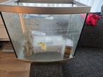 Aquarium met benodigdheden

€ 25 euro, Ophalen, Zo goed als nieuw