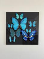 Foto schilderij vlinders, Peinture, 100 à 125 cm, 75 cm ou plus, Enlèvement