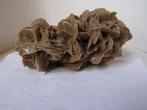Formidabel gefossiliseerde „Sand Rose” van 2,6 kg, Ophalen of Verzenden, Fossiel