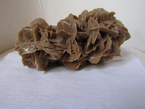 Formidabel gefossiliseerde „Sand Rose” van 2,6 kg, Verzamelen, Mineralen en Fossielen, Fossiel, Ophalen of Verzenden