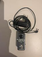 TC Electronic Ditto Looper + alim, Ophalen of Verzenden, Zo goed als nieuw, Overige typen