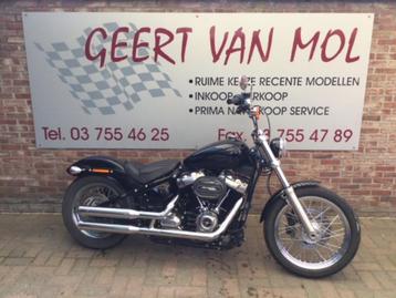 Harley Davidson Softail, 2023 beschikbaar voor biedingen