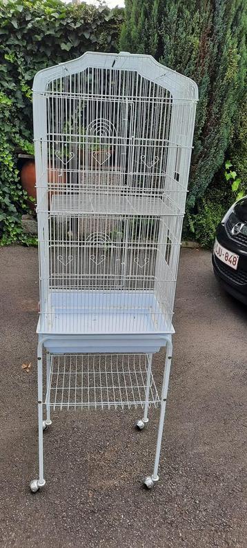 Grande cage à oiseaux beschikbaar voor biedingen