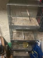 cage d’élevage et ded couple canaris malinois, Enlèvement ou Envoi, Comme neuf, Aluminium, Cage d'élevage