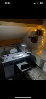 Nageltafel + professionele cursus + allee benodigdheden, Ophalen, Zo goed als nieuw