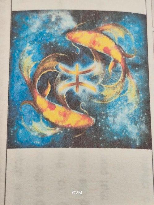Diamond painting set, Hobby en Vrije tijd, Overige Hobby en Vrije tijd, Ophalen of Verzenden
