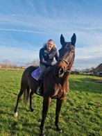 Weide gezocht te moorsele