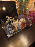 Aquarium terrarium bak + accessoires, Dieren en Toebehoren, Ophalen, Gebruikt, Tak, Plant, Rots of Steen