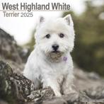 West Highland Westie Terrier kalender 2025, Ophalen of Verzenden, Jaarkalender, Nieuw