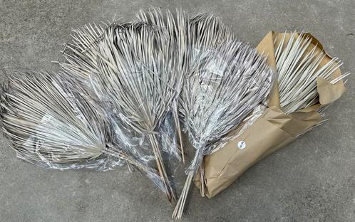 Partij gedroogde palmbladeren - nieuw, Huis en Inrichting, Woonaccessoires | Droogbloemen, Nieuw, Ophalen