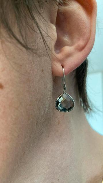 Oorbellen met grijze steen beschikbaar voor biedingen