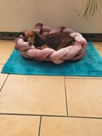 Hondenmand, Dieren en Toebehoren, Ophalen